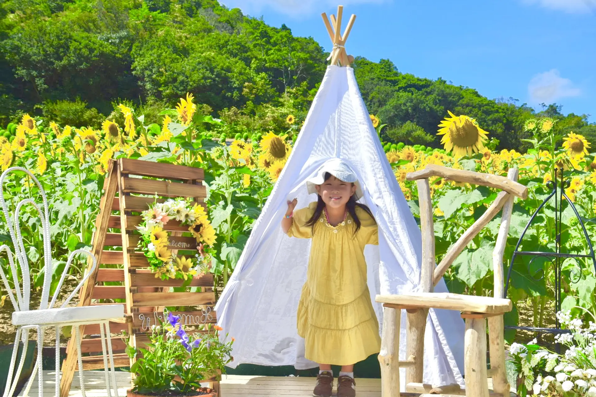 ティピーテント