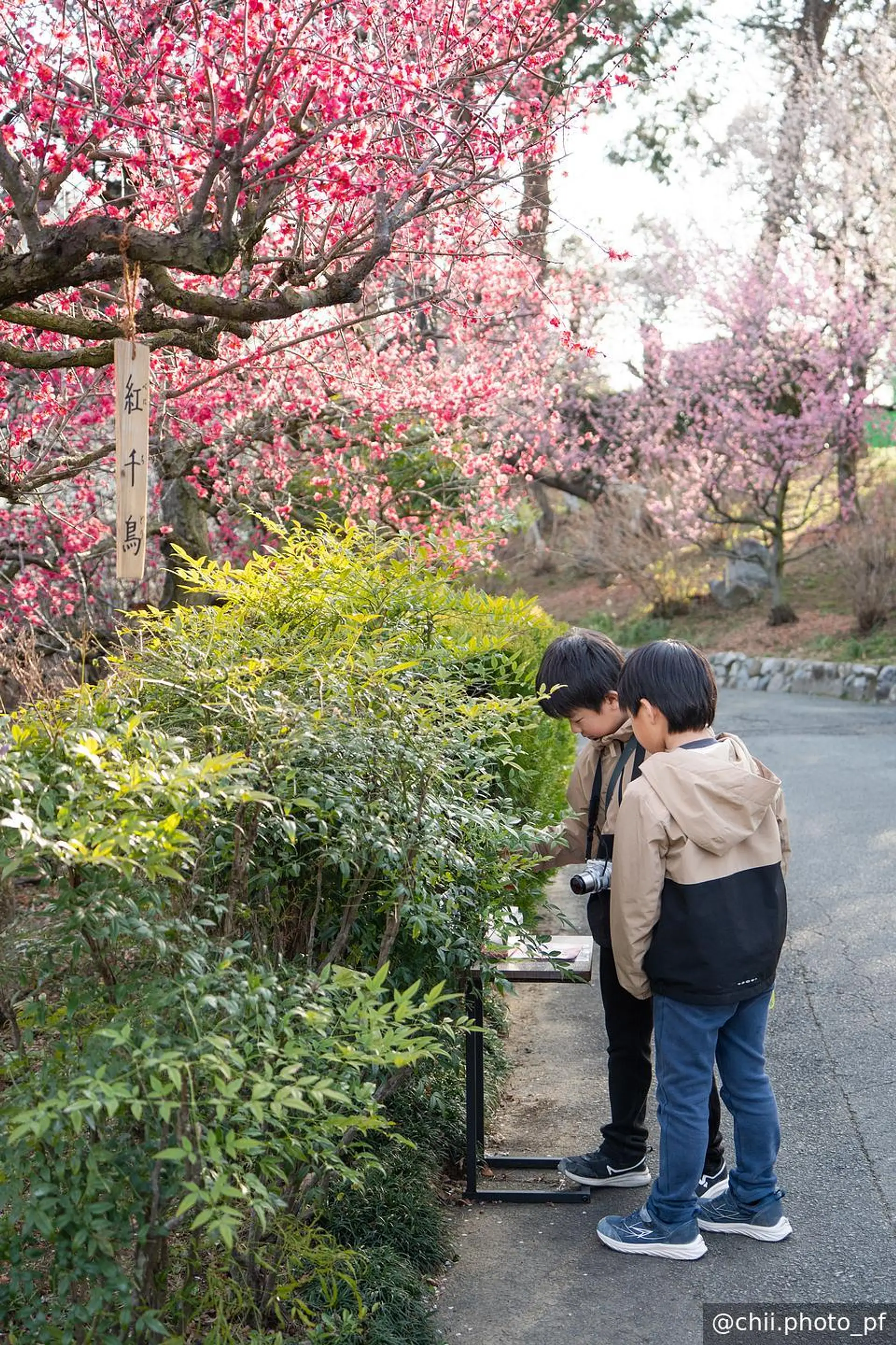 お子様もぜひご一緒に♪