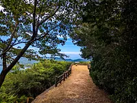 かさらぎ展望台（鵜倉園地）