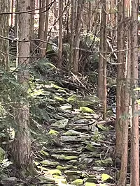 吉野金峯山寺厳修「八鬼山荒神堂護摩供」特別参拝ツアー（ガイド付き・ショートコース）