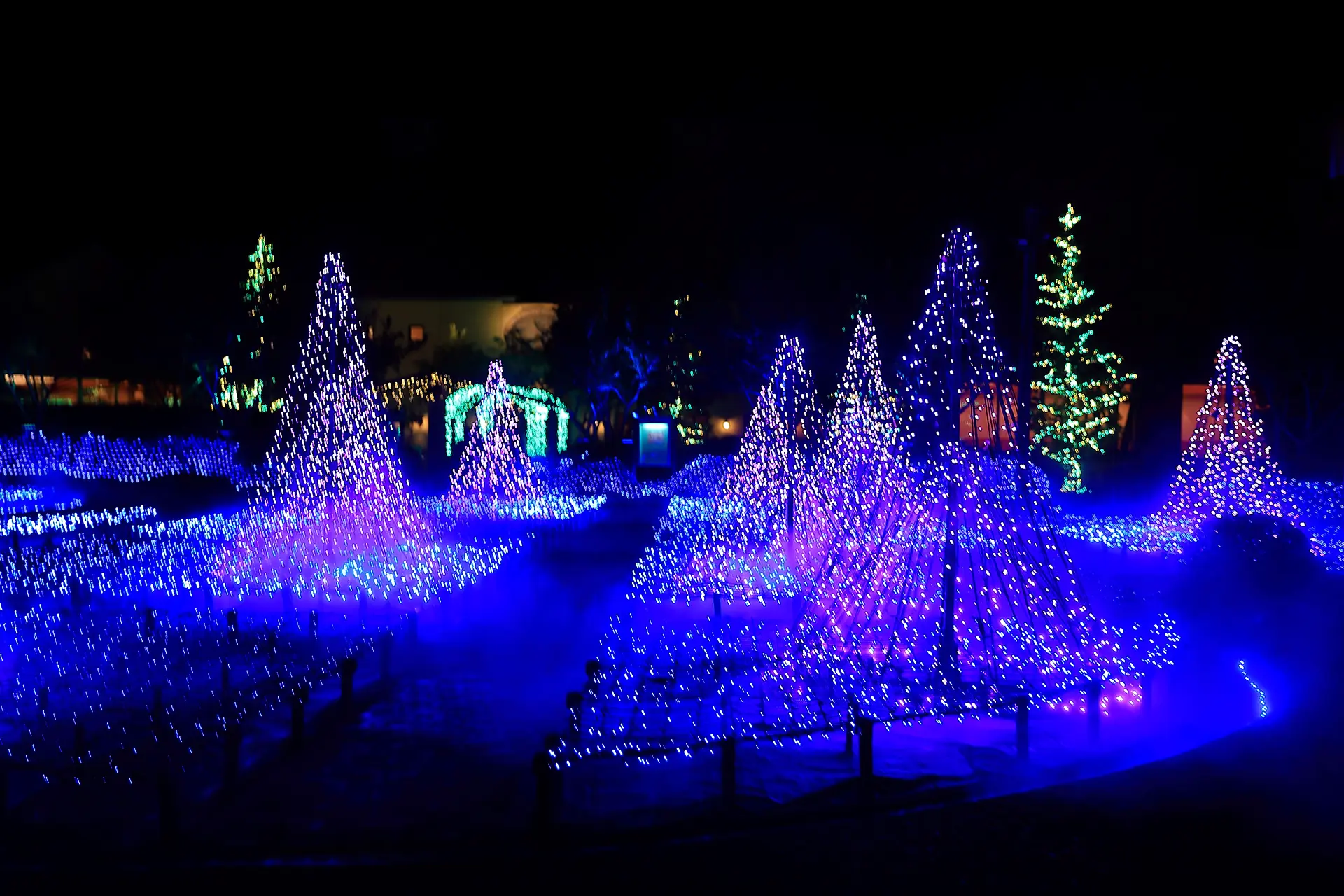 ミレニアム光の森