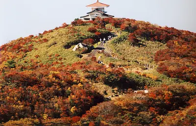 御在所岳山上の紅葉