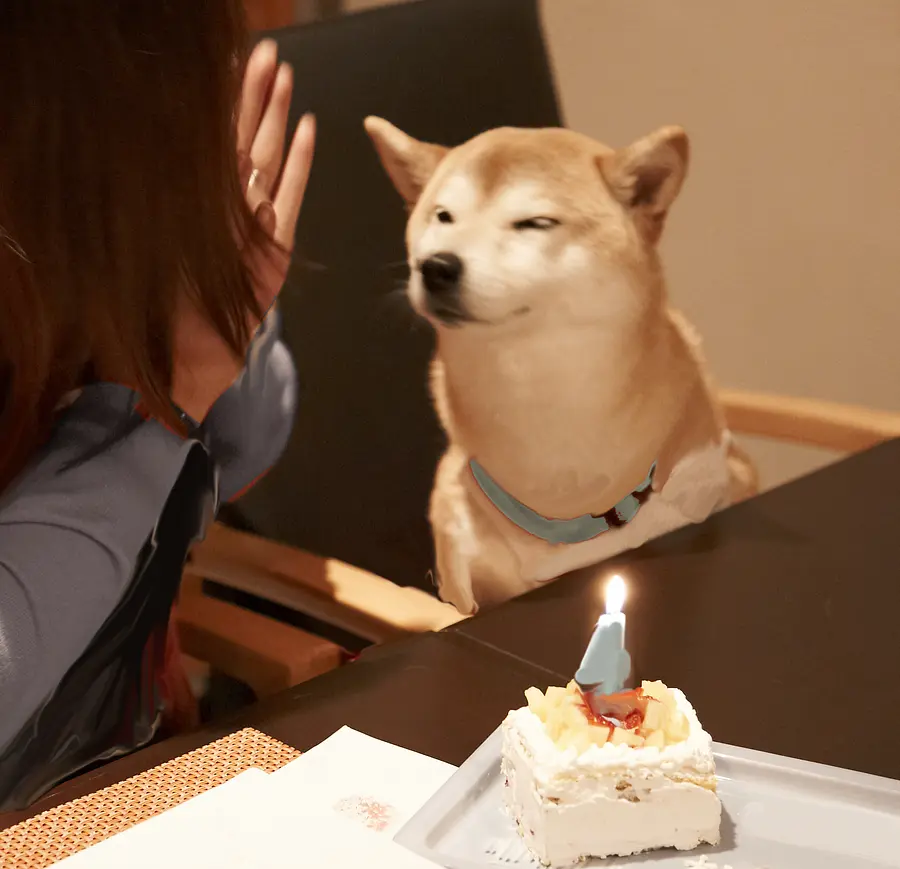 わんちゃんバースデーイメージ