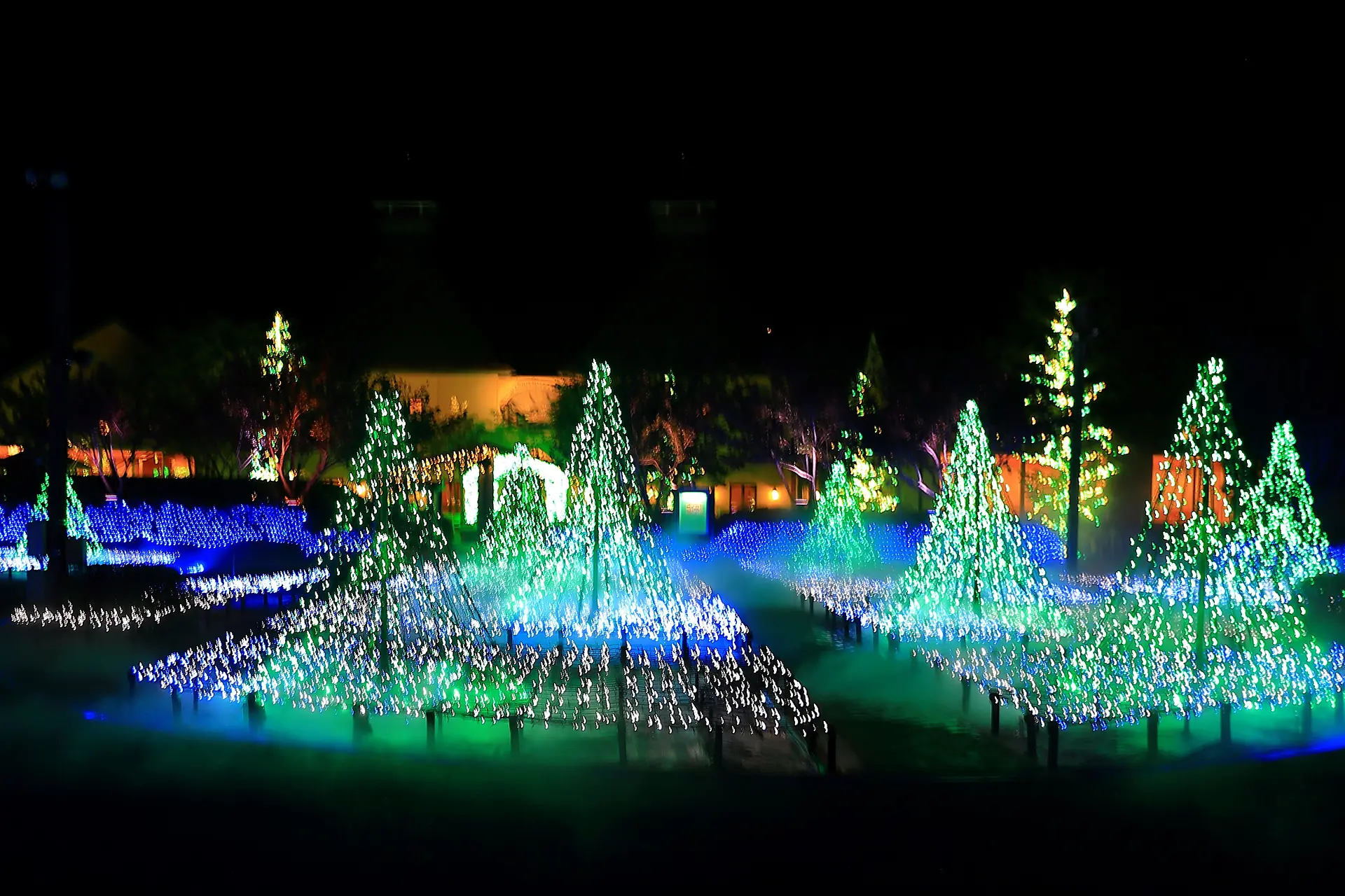 ミレニアムガーデン光の森