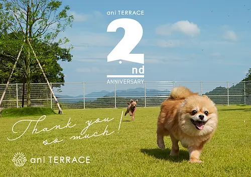 ani TERRACE 2nd Anniversary Event