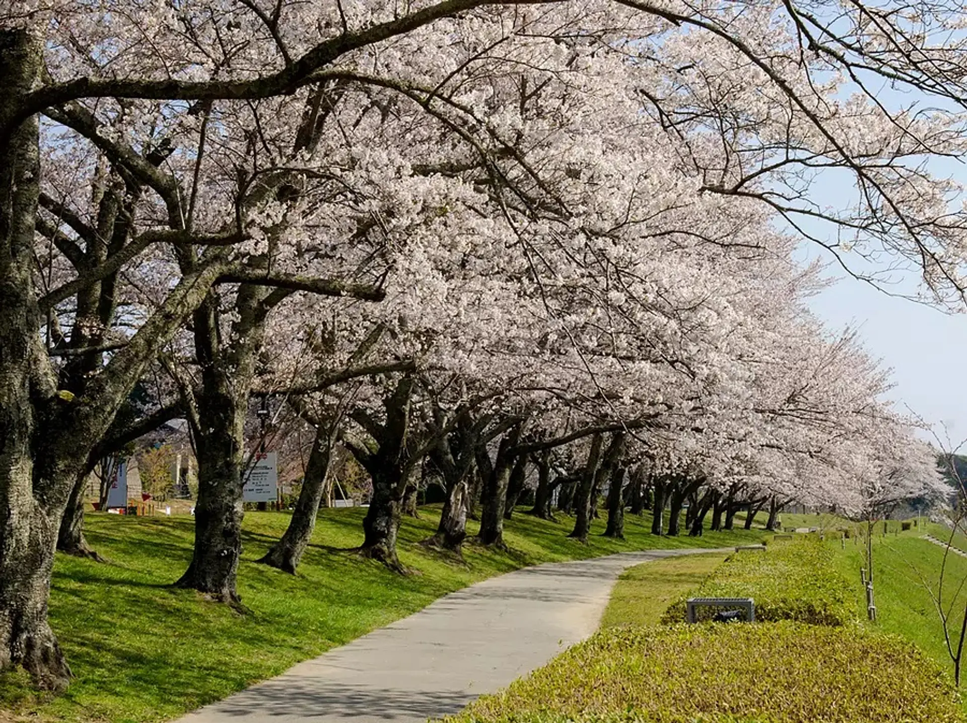 宮リバー度会パーク