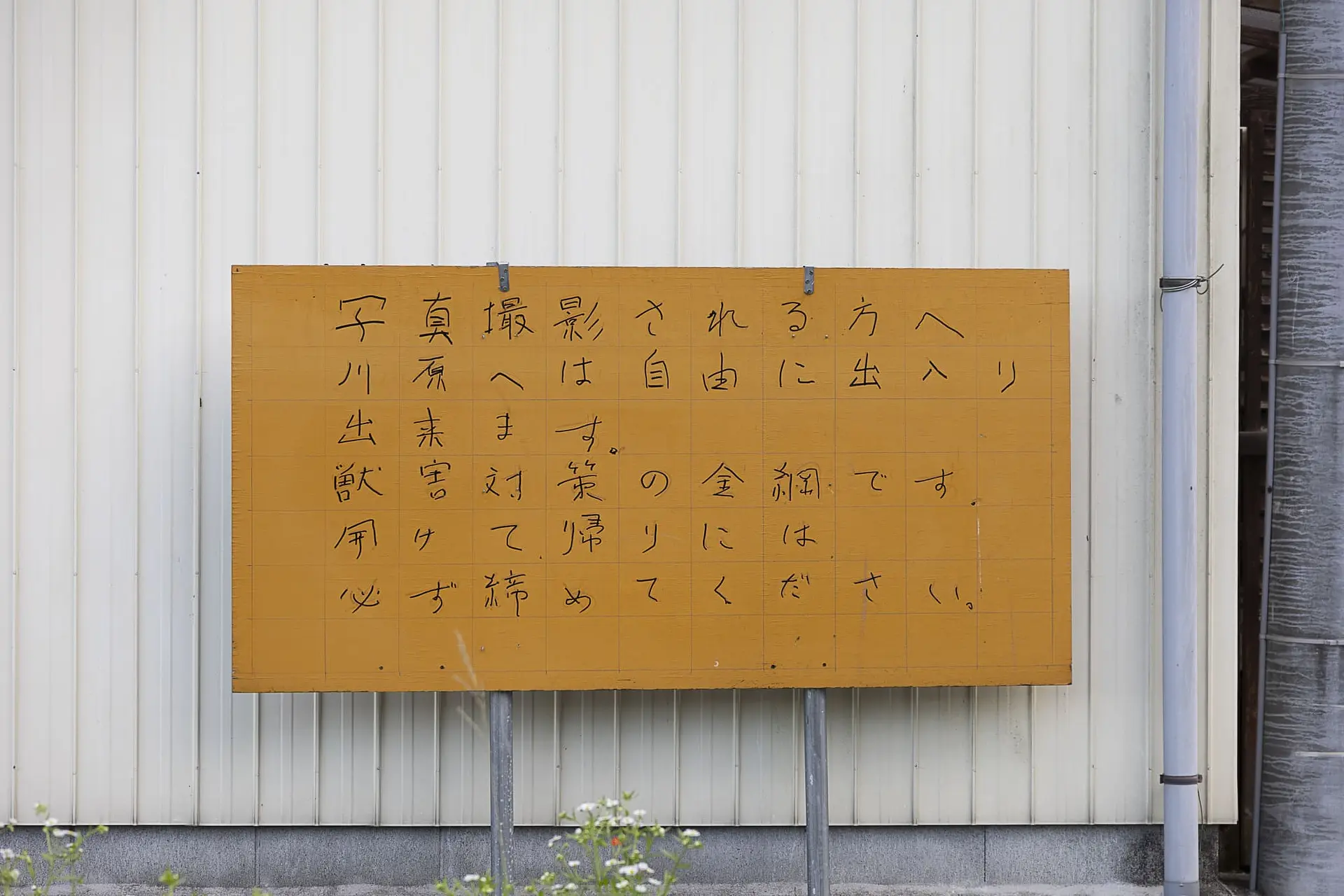 写真撮影の方へ