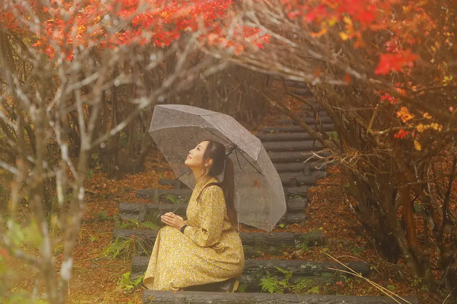 Feuilles d&#39;automne du parc Maruyama Doudan Tsutsuji