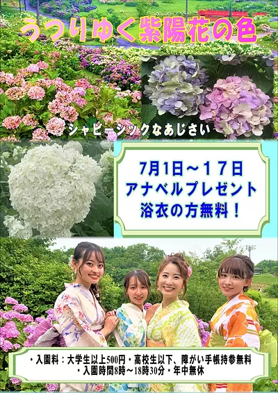 &quot;คาซาฮายะ โนะ ซาโตะ&quot; - คัปปะ โนะ ฟุรุซาโตะ - เทศกาลดอกไฮเดรนเยีย 2023
