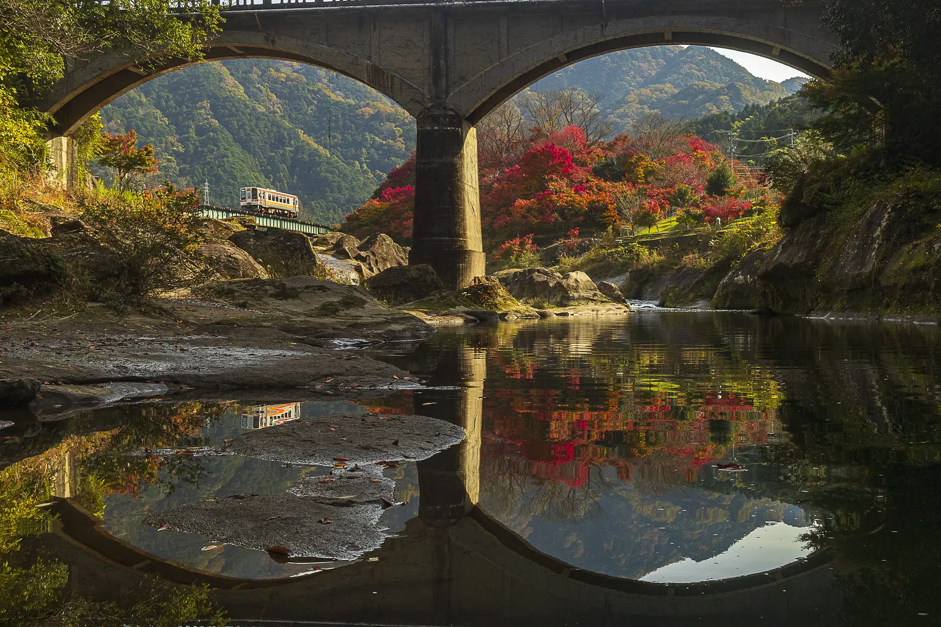 リフレクション