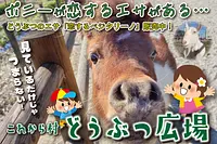 松幸農産これから村