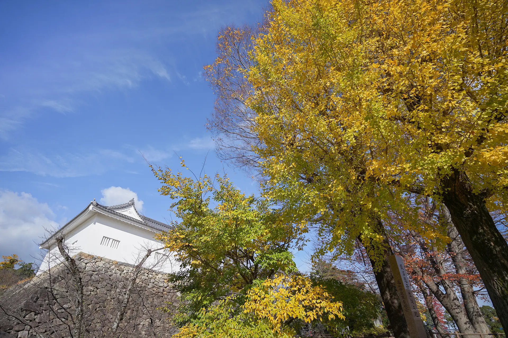 多聞櫓とイチョウ