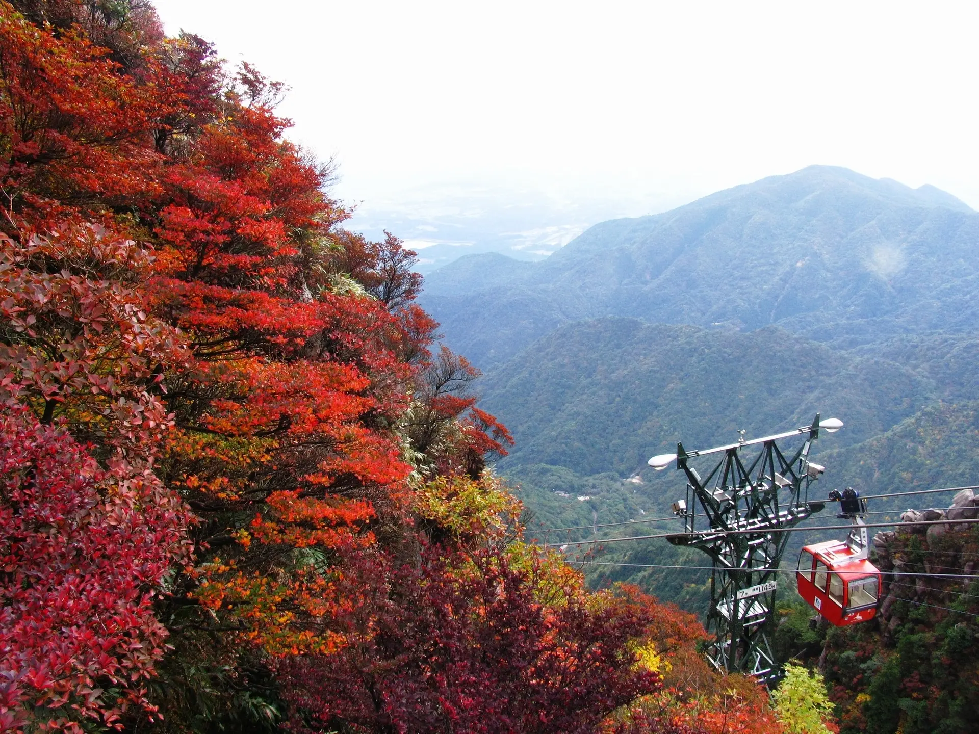 御在所岳山上の紅葉