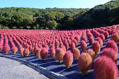 志摩市観光農園