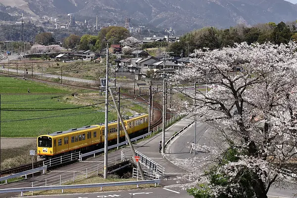 藤原里山倶楽部（カヲリン）の画像