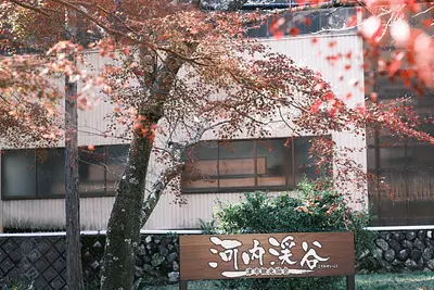 河内渓谷の紅葉（1）