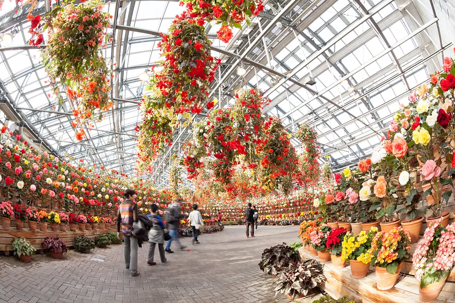 なばなの里　ベゴニアガーデン