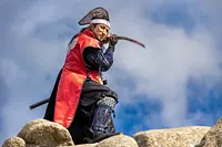 戦国の嶺　藤堂高虎　神無月の陣