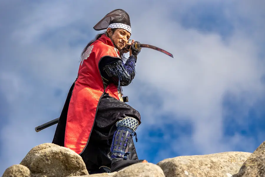 戦国の嶺　藤堂高虎　神無月の陣