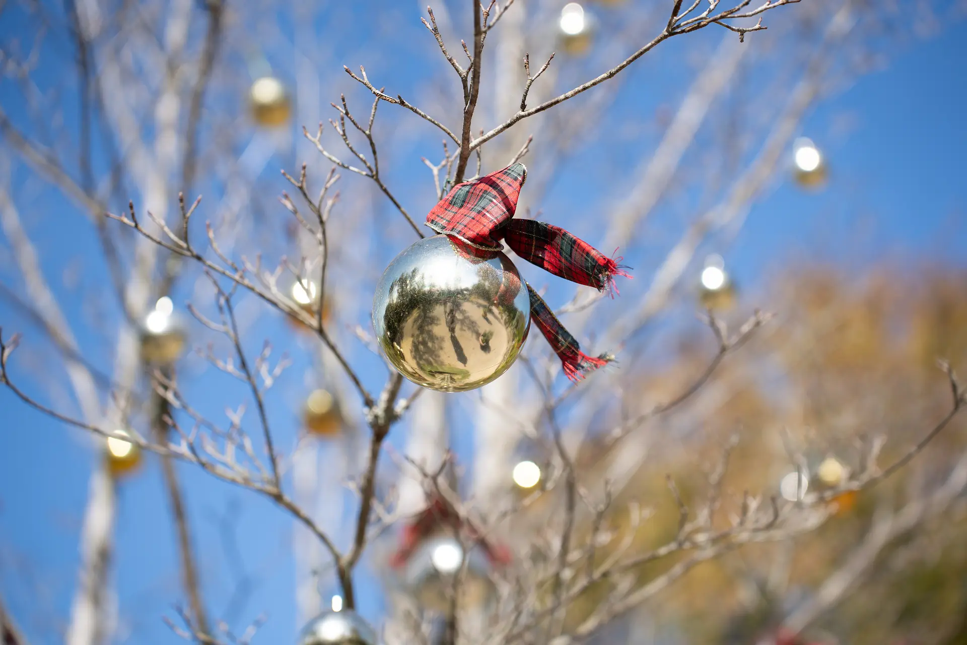 ウェルカムガーデン