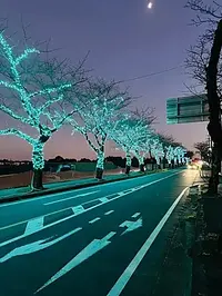 ウィンターイルミネーションこもの