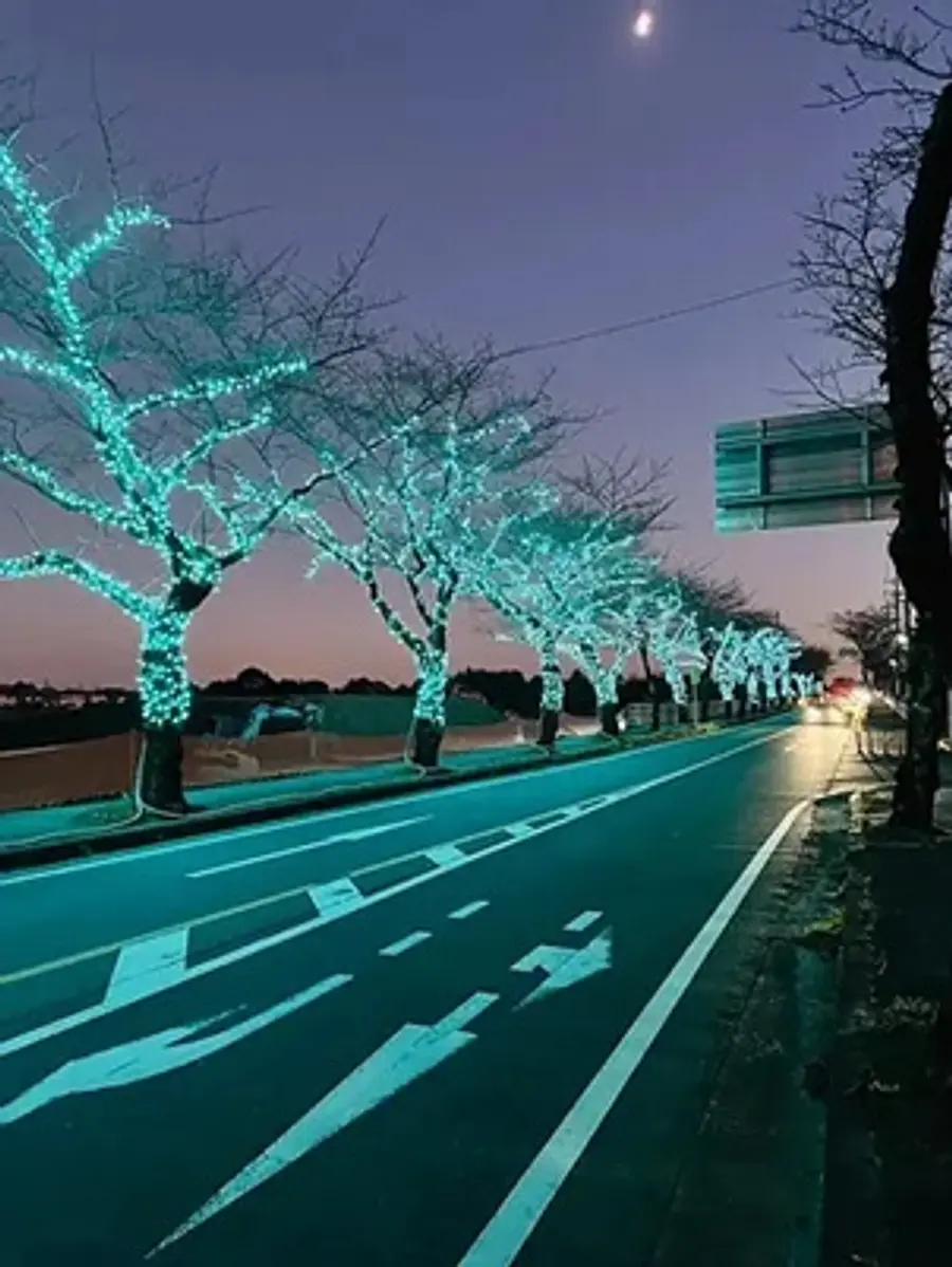 ウィンターイルミネーションこもの