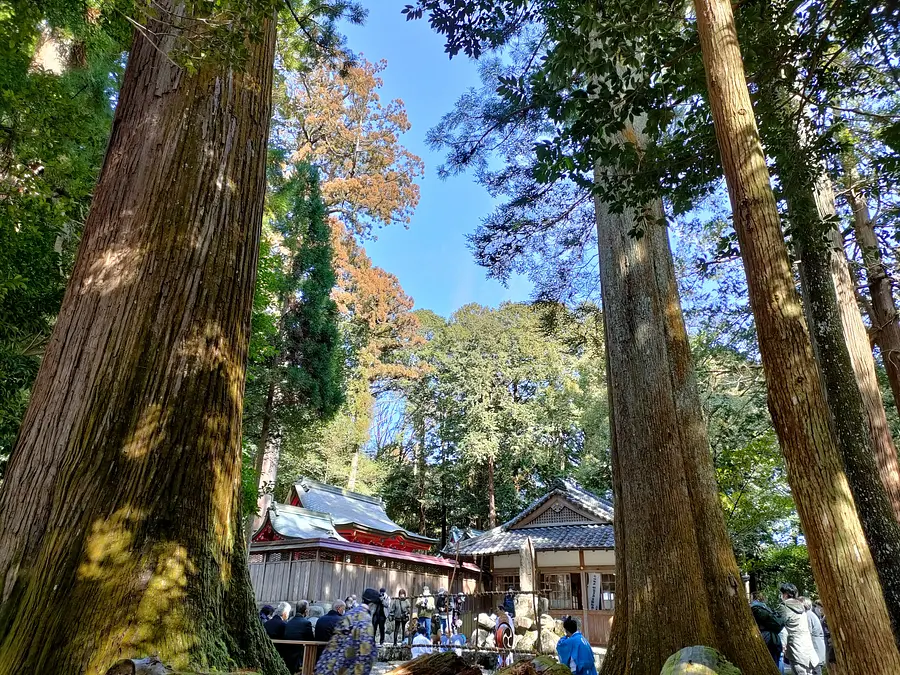 牛蒡祭【県指定文化財】