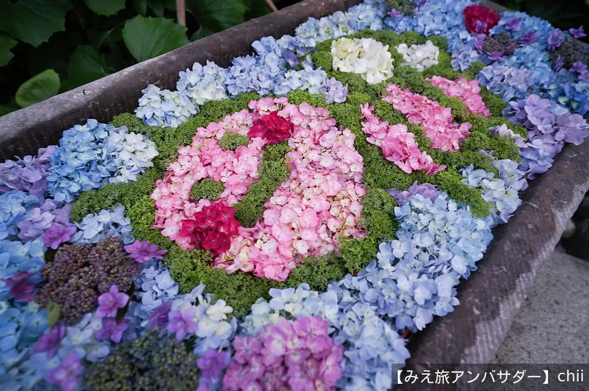 ミツバチデザインの花手水