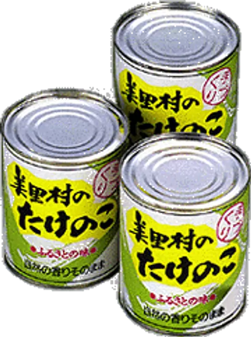 canned bamboo shoots