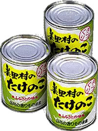 canned bamboo shoots