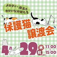 保護猫譲渡会