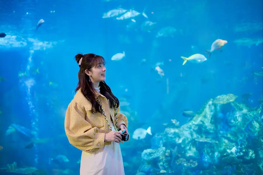 伊勢志摩癒し旅