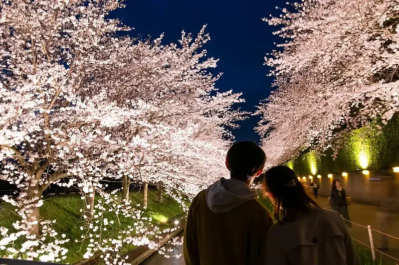 Lugares famosos en flor de cerezo en la prefectura de Mie
