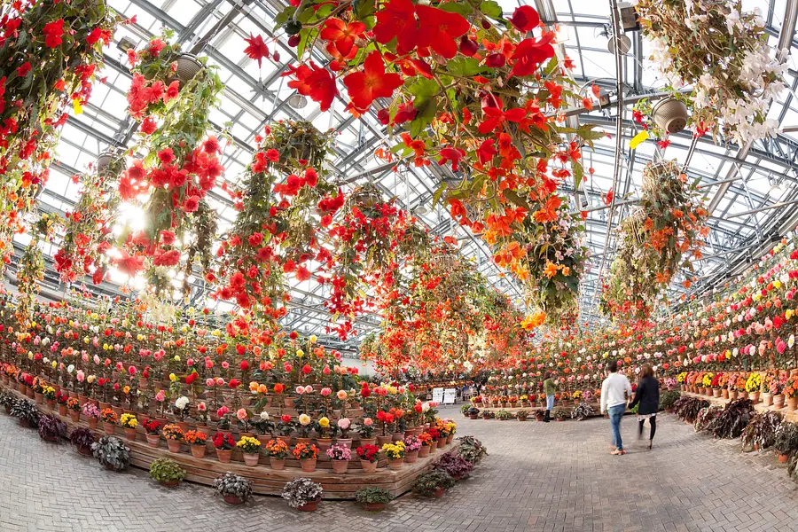 なばなの里　ベゴニアガーデン