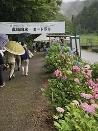 เทศกาลดอกไฮเดรนเยียไดชิ โนะ ซาโตะ ฮิโคเซมอน ครั้งที่ 28 ~ขอบคุณผืนน้ำและดินแห่งบ้านเกิดของเรา~