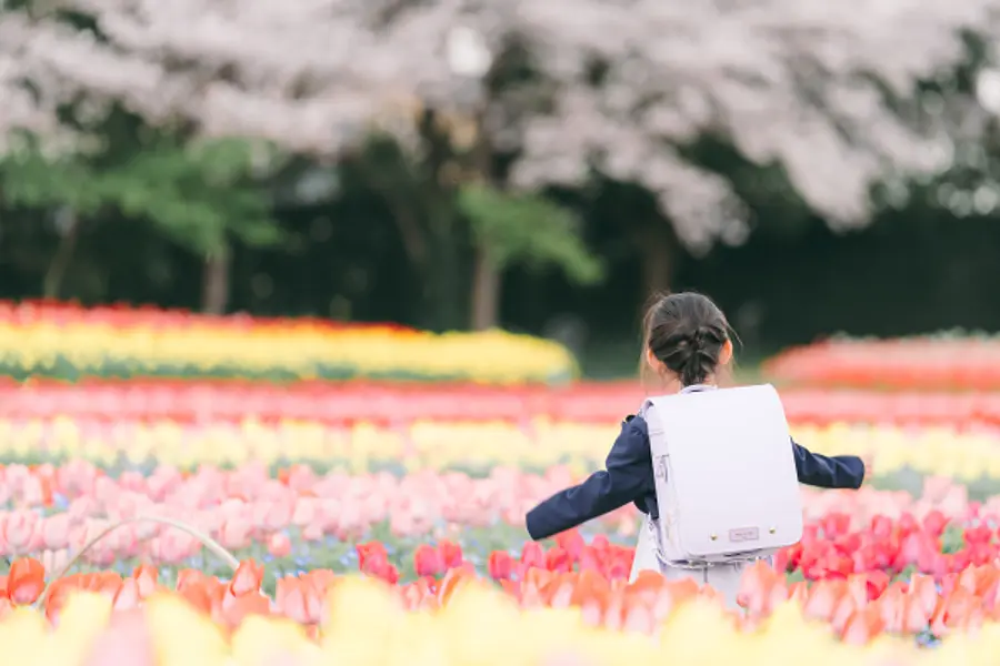 ナガシマリゾート 「デジタルフォトコンテスト」　　