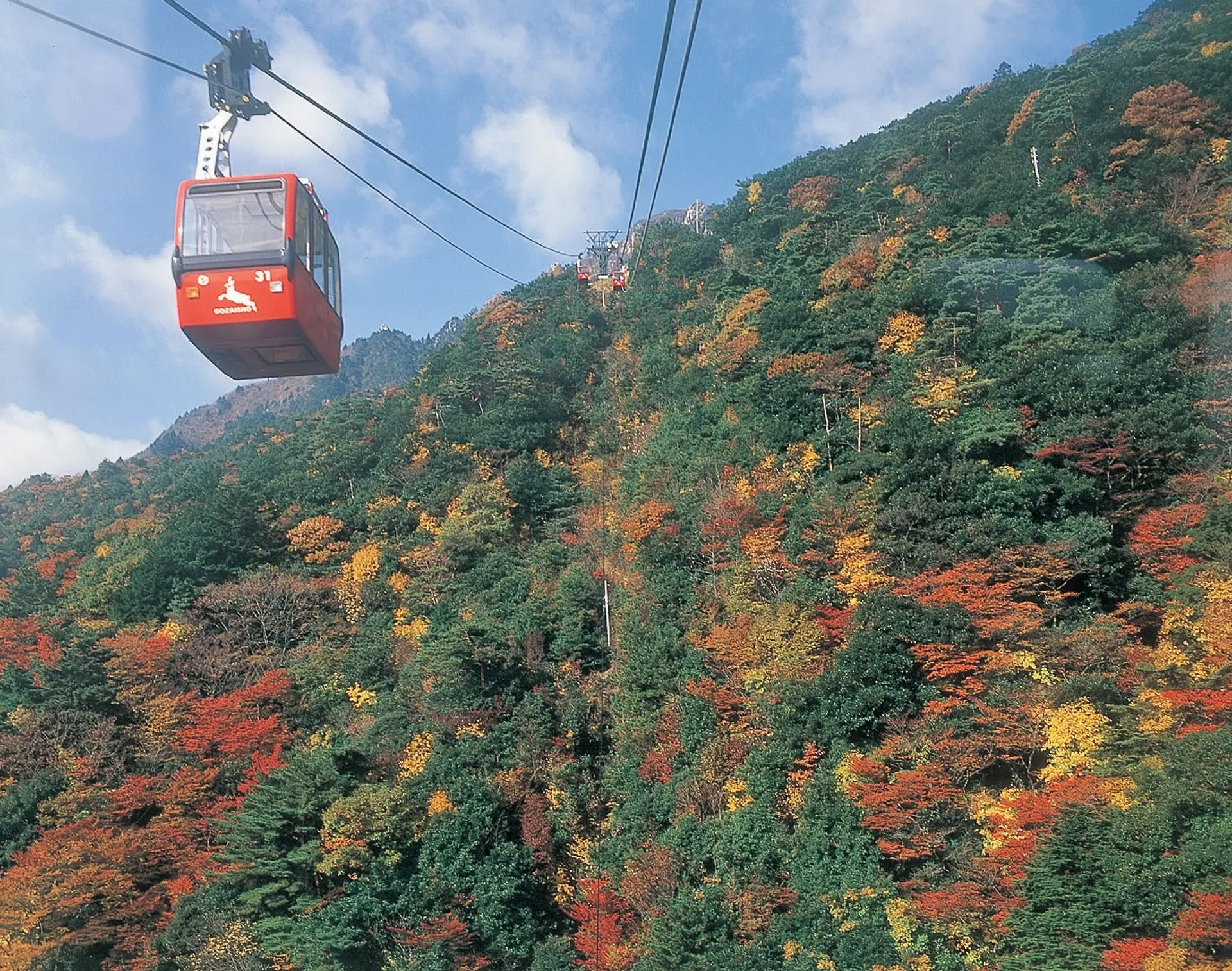 見頃は10月下旬頃まで