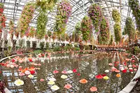 なばなの里　ベゴニアガーデン