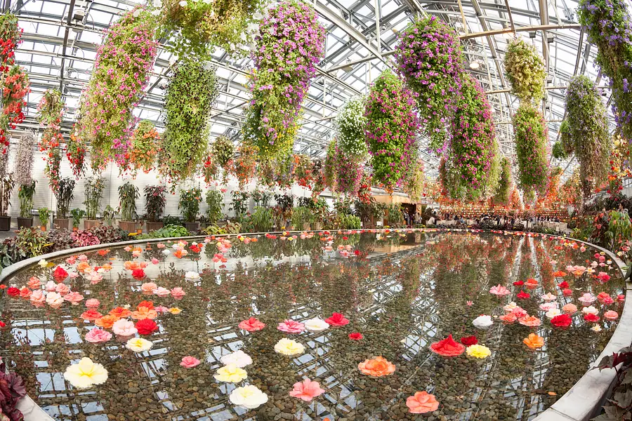 なばなの里　ベゴニアガーデン