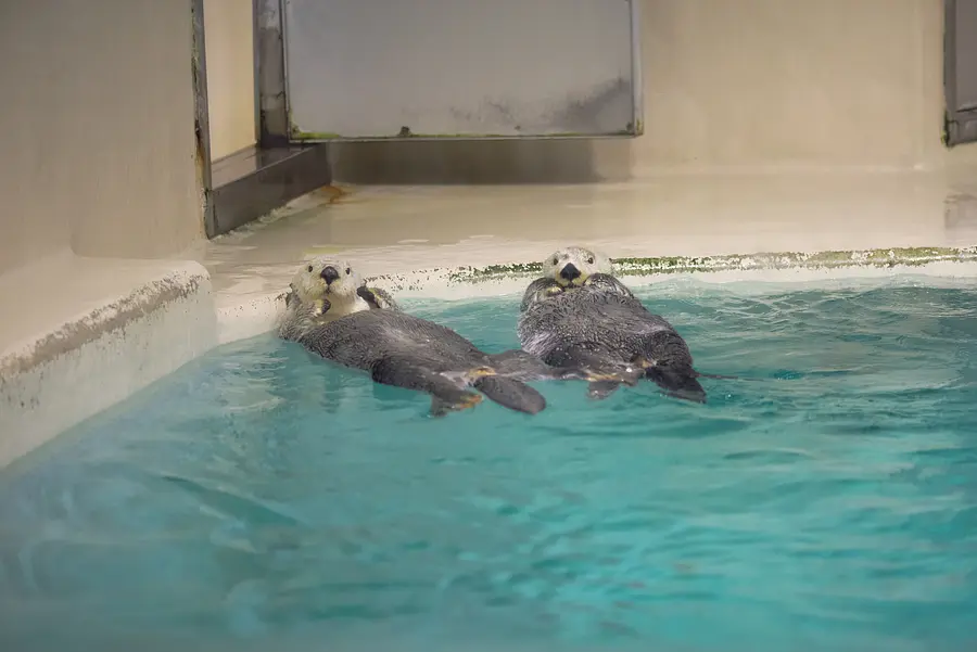 伊勢志摩癒し旅