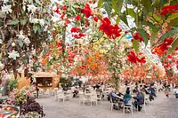 なばなの里　ベゴニアガーデン