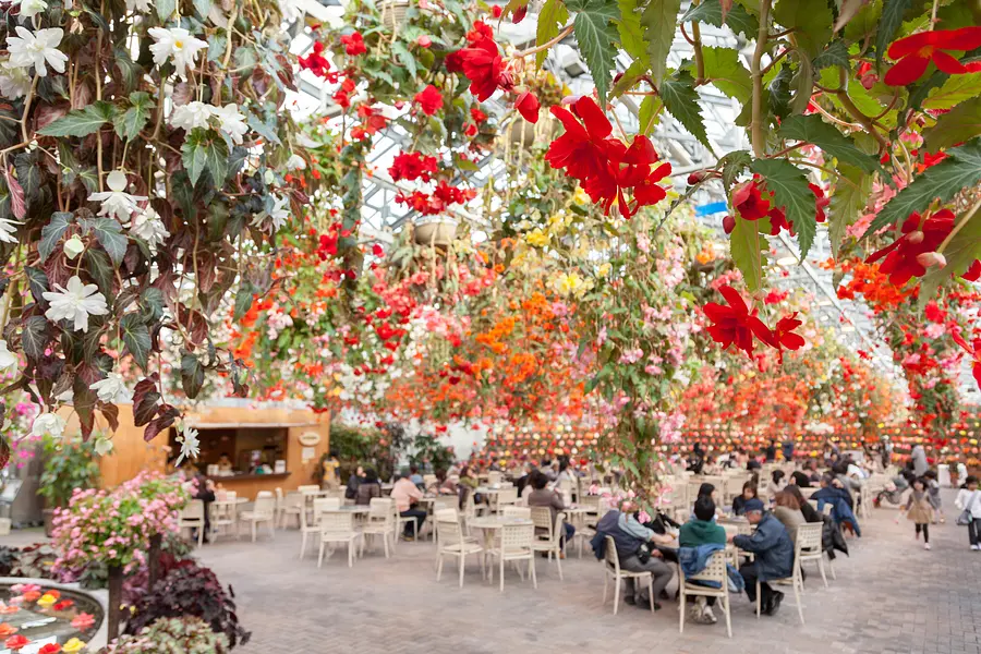 なばなの里　ベゴニアガーデン