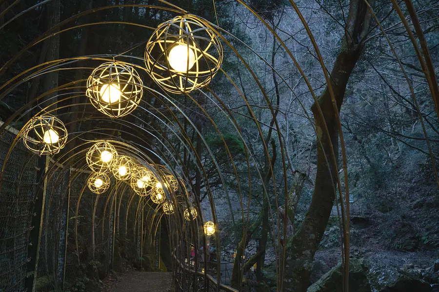 TheAkame48Falls mysterious bamboo light ⑥