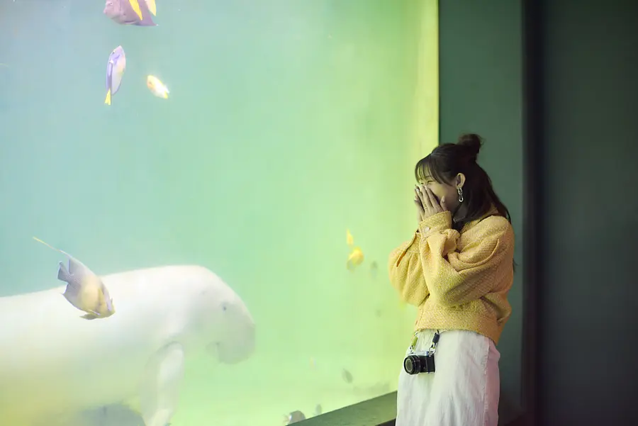 伊勢志摩癒し旅