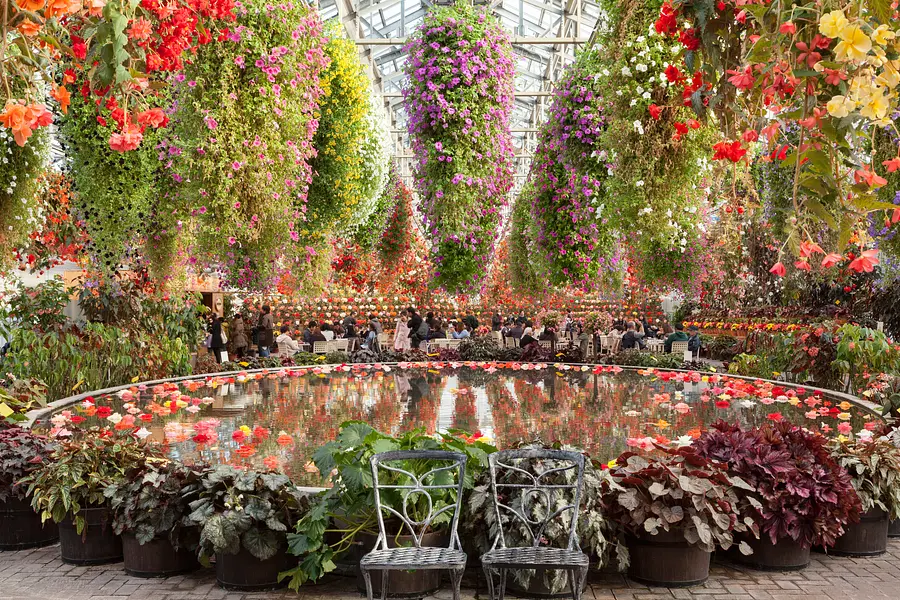 なばなの里　ベゴニアガーデン