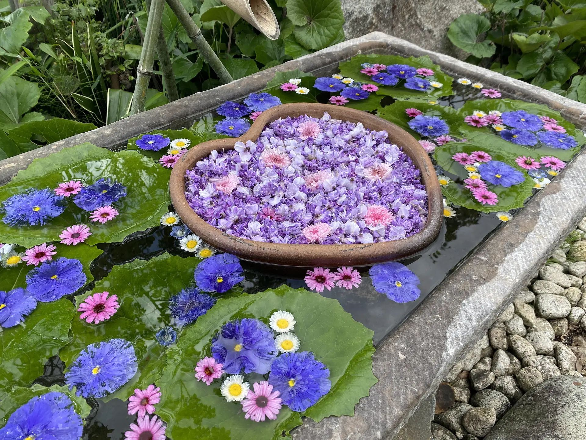 三重県の藤の名所特集