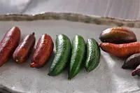 フィンガーライム 講習・苗木直売会