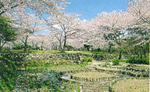 Shoboji mountain villa ruins