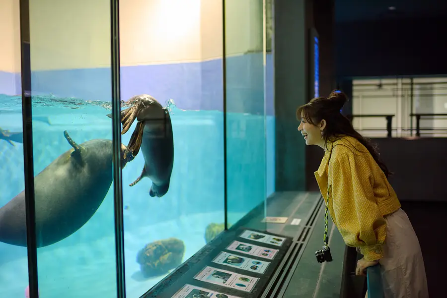 伊勢志摩癒し旅