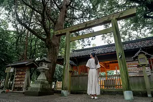 【参加費無料】タクシーで巡る「日本酒」と「斎王」の物語。明和テロワール体験モニターツアー（2/6開催）